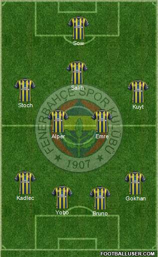 Fenerbahçe SK Formation 2013