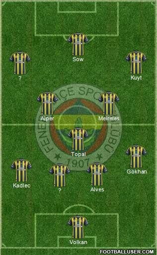 Fenerbahçe SK Formation 2013