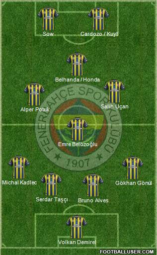 Fenerbahçe SK Formation 2013