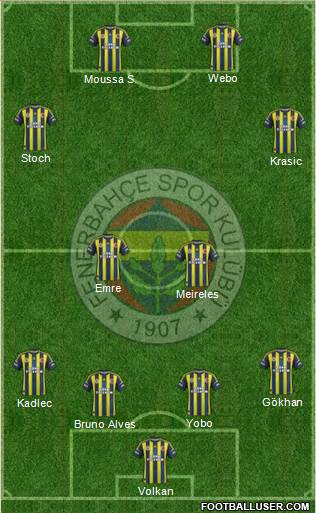 Fenerbahçe SK Formation 2013
