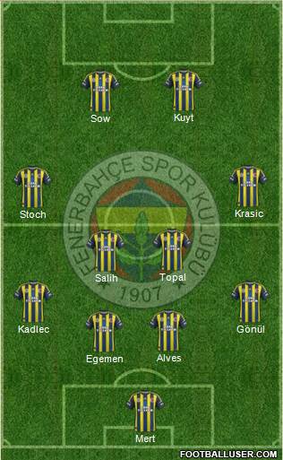 Fenerbahçe SK Formation 2013