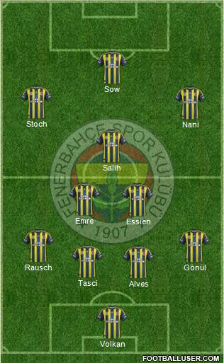 Fenerbahçe SK Formation 2013