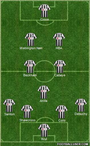 Newcastle United Formation 2013