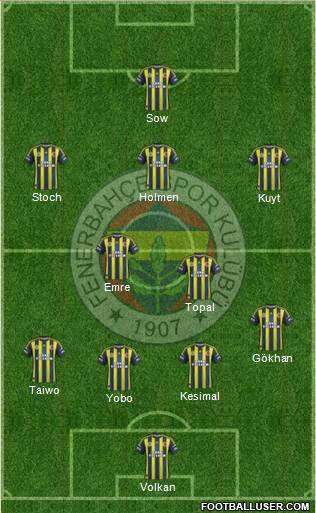 Fenerbahçe SK Formation 2013