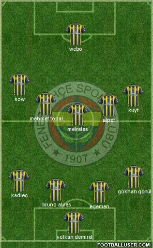 Fenerbahçe SK Formation 2013