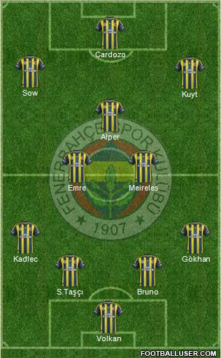 Fenerbahçe SK Formation 2013