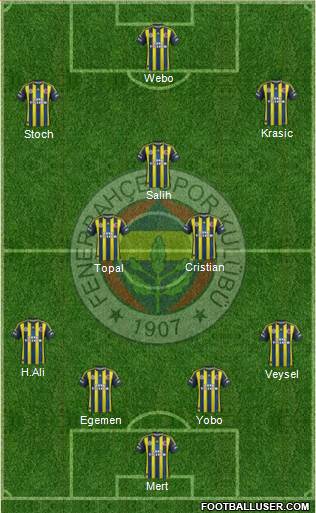 Fenerbahçe SK Formation 2013