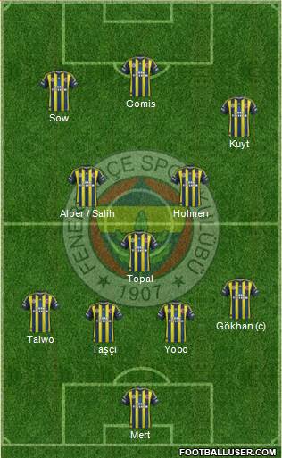 Fenerbahçe SK Formation 2013