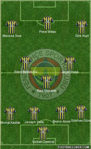 Fenerbahçe SK Formation 2013