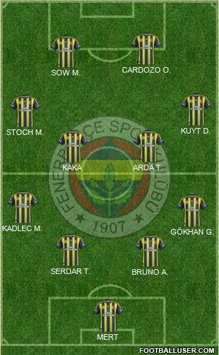 Fenerbahçe SK Formation 2013