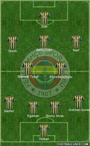 Fenerbahçe SK Formation 2013
