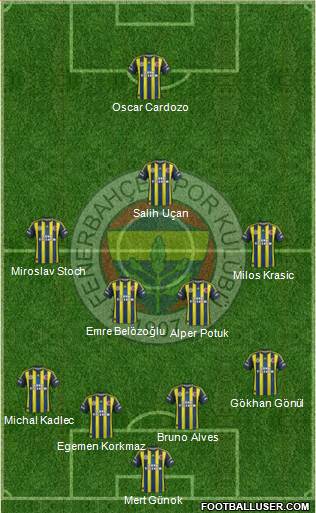 Fenerbahçe SK Formation 2013