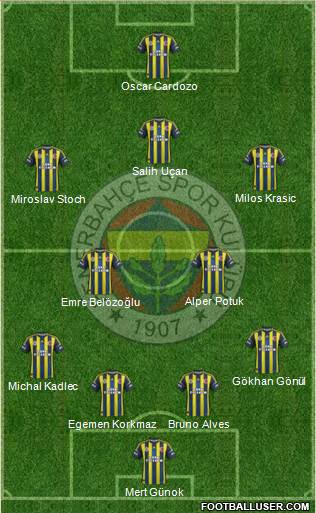 Fenerbahçe SK Formation 2013