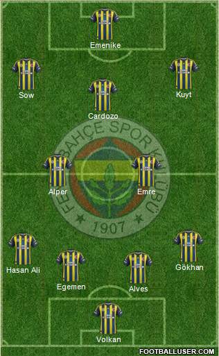 Fenerbahçe SK Formation 2013