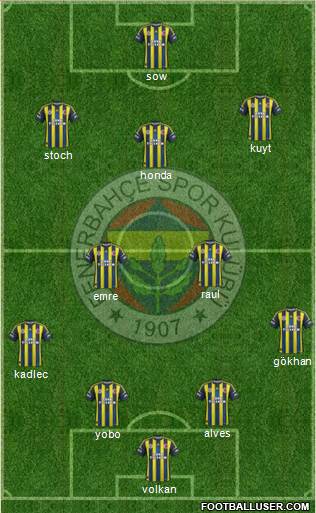 Fenerbahçe SK Formation 2013