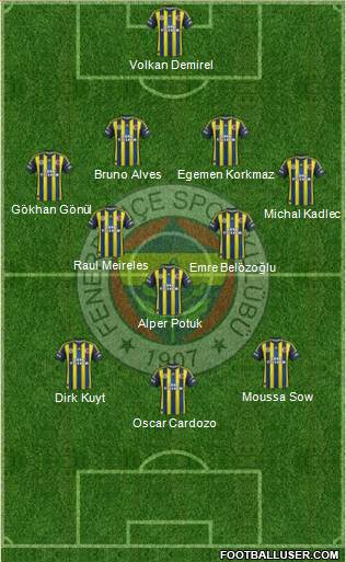 Fenerbahçe SK Formation 2013