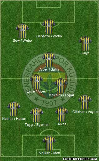 Fenerbahçe SK Formation 2013