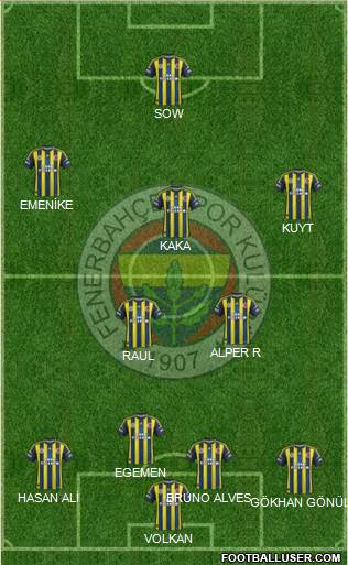 Fenerbahçe SK Formation 2013