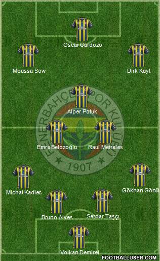 Fenerbahçe SK Formation 2013