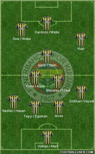 Fenerbahçe SK Formation 2013