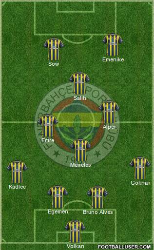 Fenerbahçe SK Formation 2013