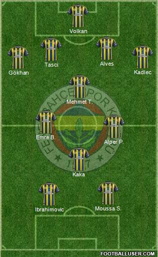 Fenerbahçe SK Formation 2013