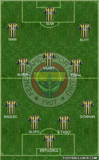 Fenerbahçe SK Formation 2013