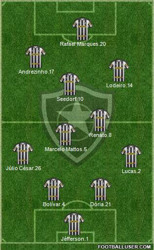 Botafogo FR Formation 2013