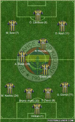 Fenerbahçe SK Formation 2013