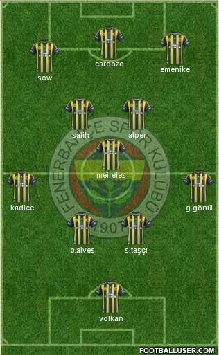 Fenerbahçe SK Formation 2013