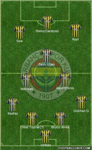 Fenerbahçe SK Formation 2013