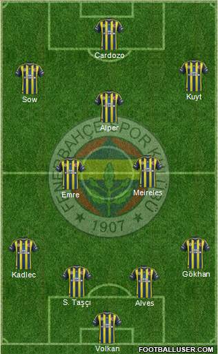 Fenerbahçe SK Formation 2013