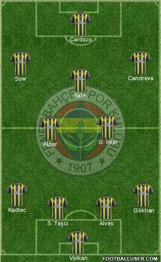 Fenerbahçe SK Formation 2013