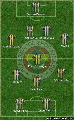 Fenerbahçe SK Formation 2013