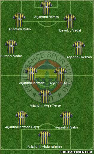 Fenerbahçe SK Formation 2013
