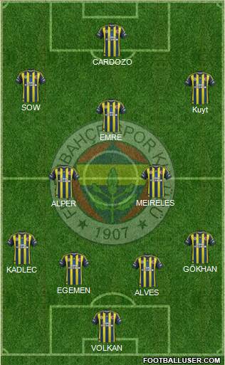 Fenerbahçe SK Formation 2013