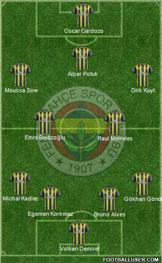 Fenerbahçe SK Formation 2013