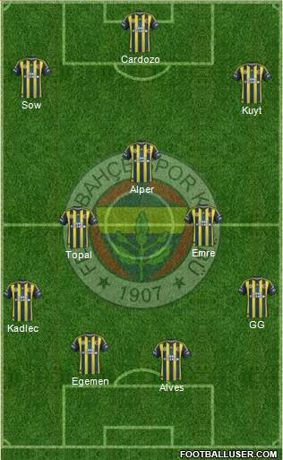 Fenerbahçe SK Formation 2013