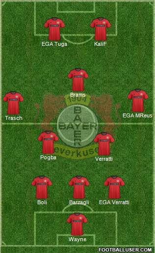 Bayer 04 Leverkusen Formation 2013