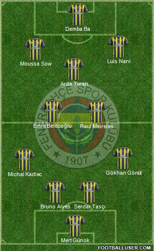 Fenerbahçe SK Formation 2013
