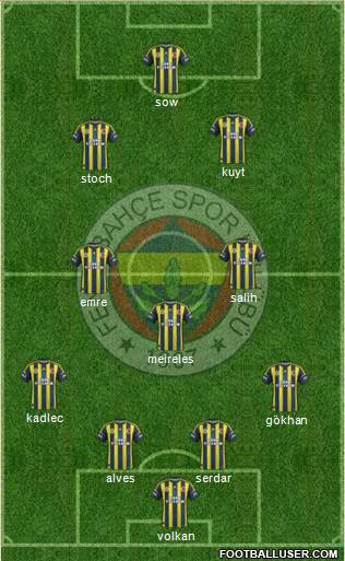Fenerbahçe SK Formation 2013