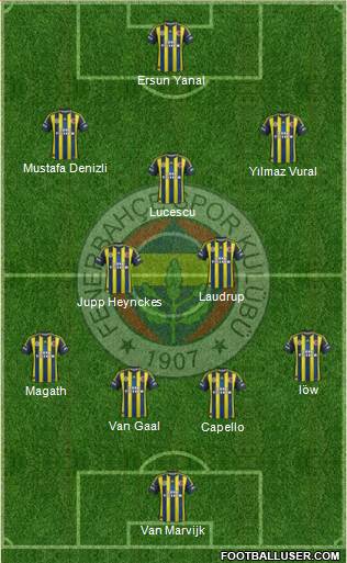 Fenerbahçe SK Formation 2013