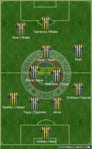 Fenerbahçe SK Formation 2013