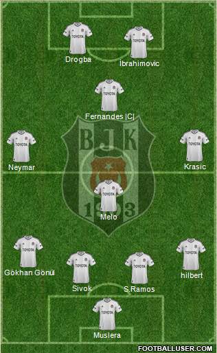Besiktas JK Formation 2013