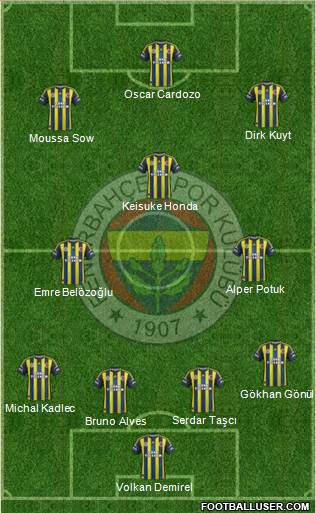 Fenerbahçe SK Formation 2013