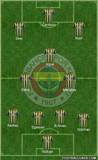 Fenerbahçe SK Formation 2013