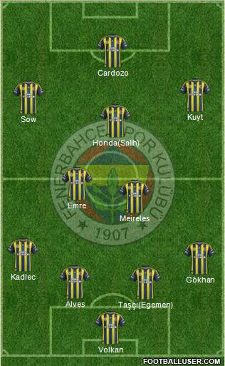 Fenerbahçe SK Formation 2013