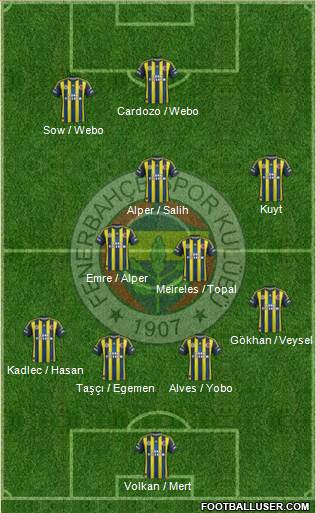 Fenerbahçe SK Formation 2013