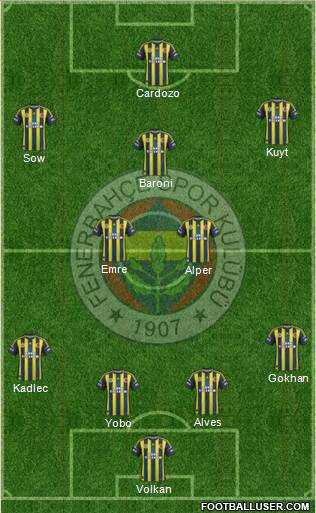 Fenerbahçe SK Formation 2013