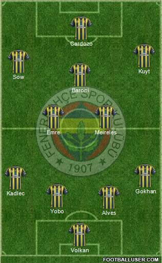 Fenerbahçe SK Formation 2013